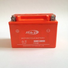 Аккумулятор для скутеров заливной (злектролитный) 12V 8A (150.107.85)